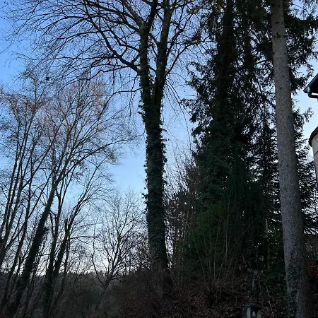 Schloss Suggenstein Villa