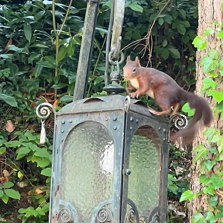 Schloss Suggenstein Βίλα