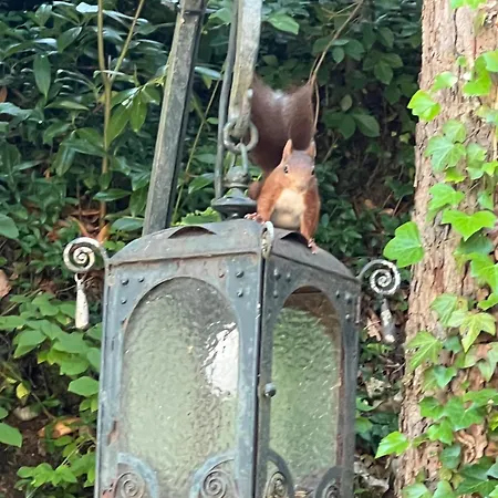 Βίλα Schloss Suggenstein