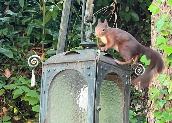 Schloss Suggenstein Βίλα