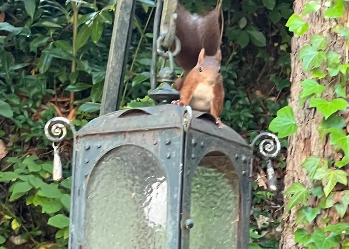 Villa Schloss Suggenstein